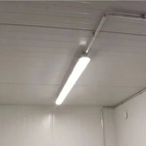 Contenitore Frigorifero da 10 Piedi